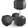 Гантель гексагональная UNIX FIT 47,5 кг обрезиненная DBHEX47_5x2